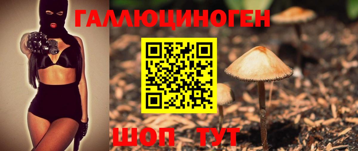 Саров  Галлюциногенные грибы прущие грибы  Вход с VPN 
